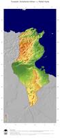 #5 Landkarte Tunesien: farbkodierte Topographie, schattiertes Relief, Staatsgrenzen und Hauptstadt