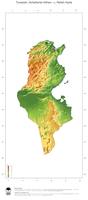 #3 Landkarte Tunesien: farbkodierte Topographie, schattiertes Relief, Staatsgrenzen und Hauptstadt