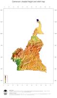 #3 Map Cameroon: color-coded topography, shaded relief, country borders and capital