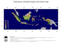 #5 Map Indonesia: color-coded topography, shaded relief, country borders and capital